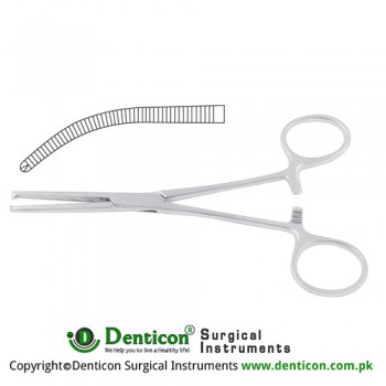 Ochsner-Kocher Haemostatic Forcep Curved - 1 x 2 Teeth Stainless Steel, 20 cm - 8" 